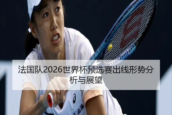 法国队2026世界杯预选赛出线形势分析与展望